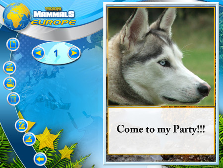 Thumbnail 11