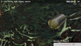 Screenshot #1