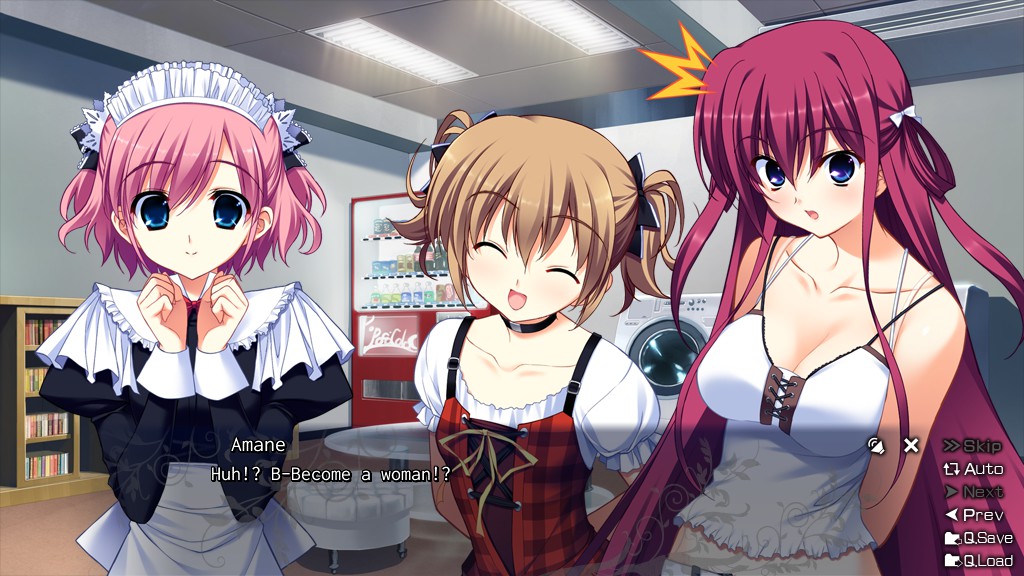 The Fruit of Grisaia screenshot #11