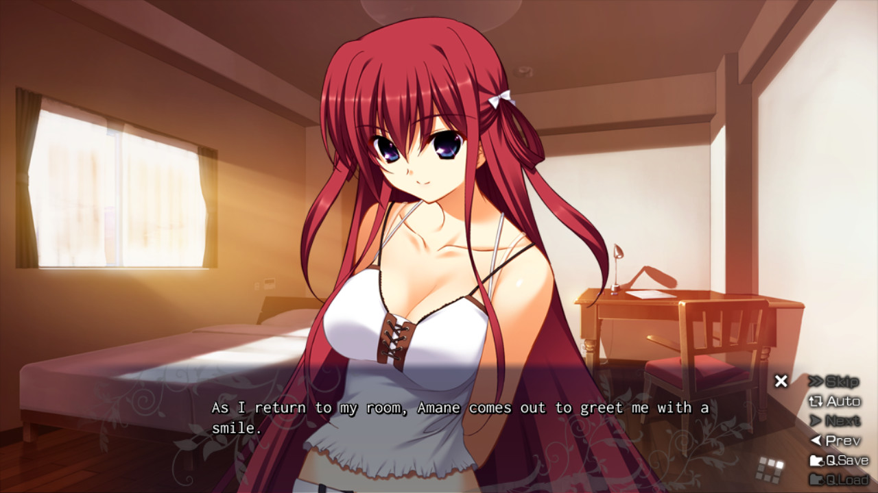 The Labyrinth of Grisaia screenshot #2