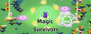 魔法幸存者 Magic Survivors