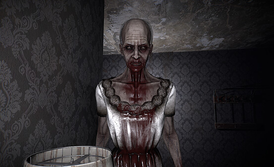 Screenshot z The Maid Screenshot z The Maid