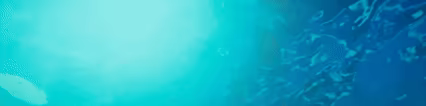Isle Of Pirates video 7