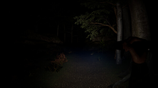 SCP Origins - Forgotten Steps screenshot 3