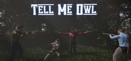 Tell Me Owl game cover