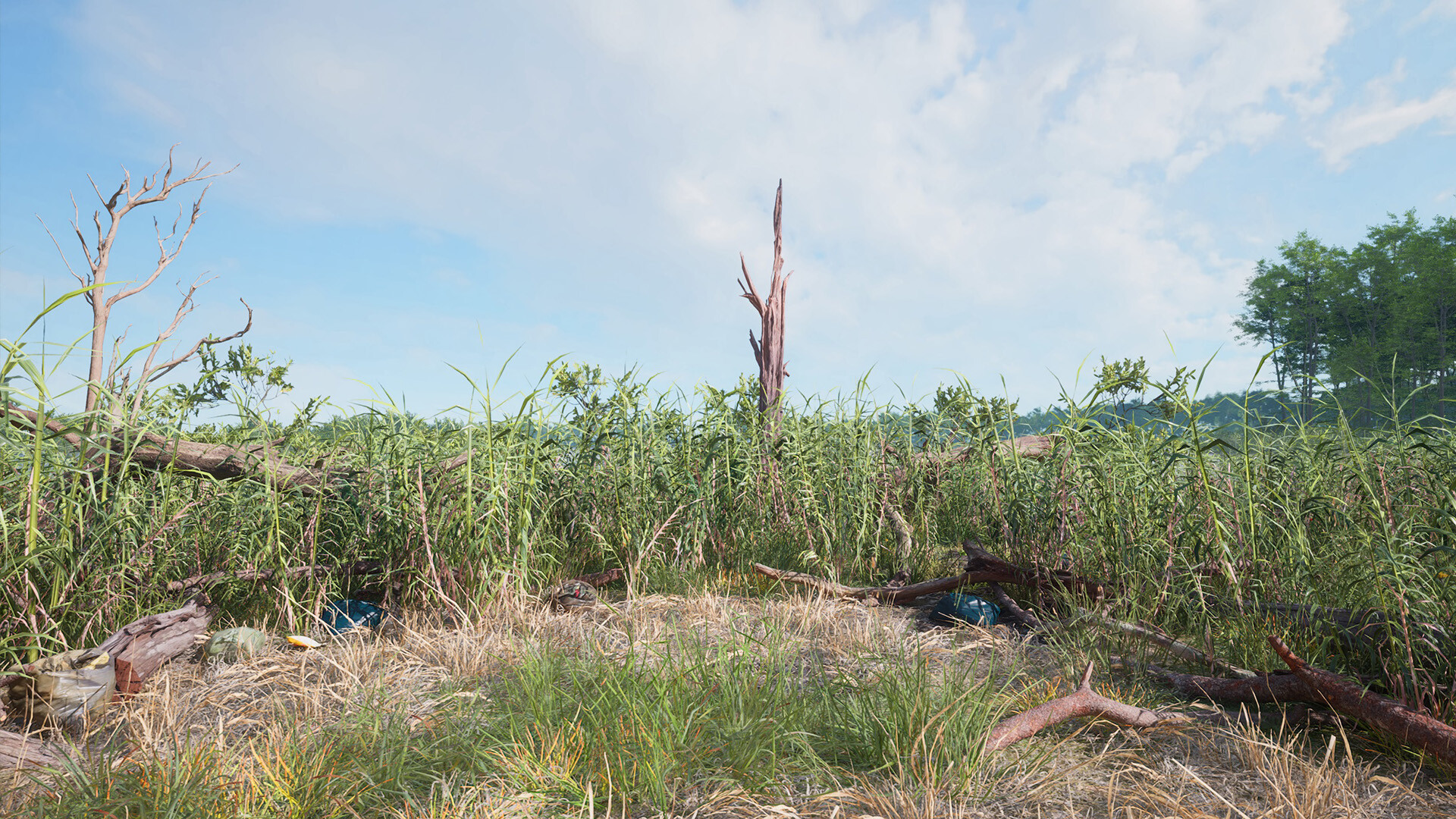 Rural Nature screenshot #6