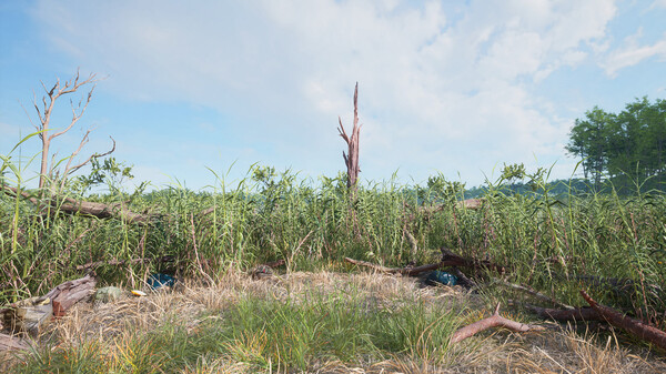 Virtual Nature screenshot 6