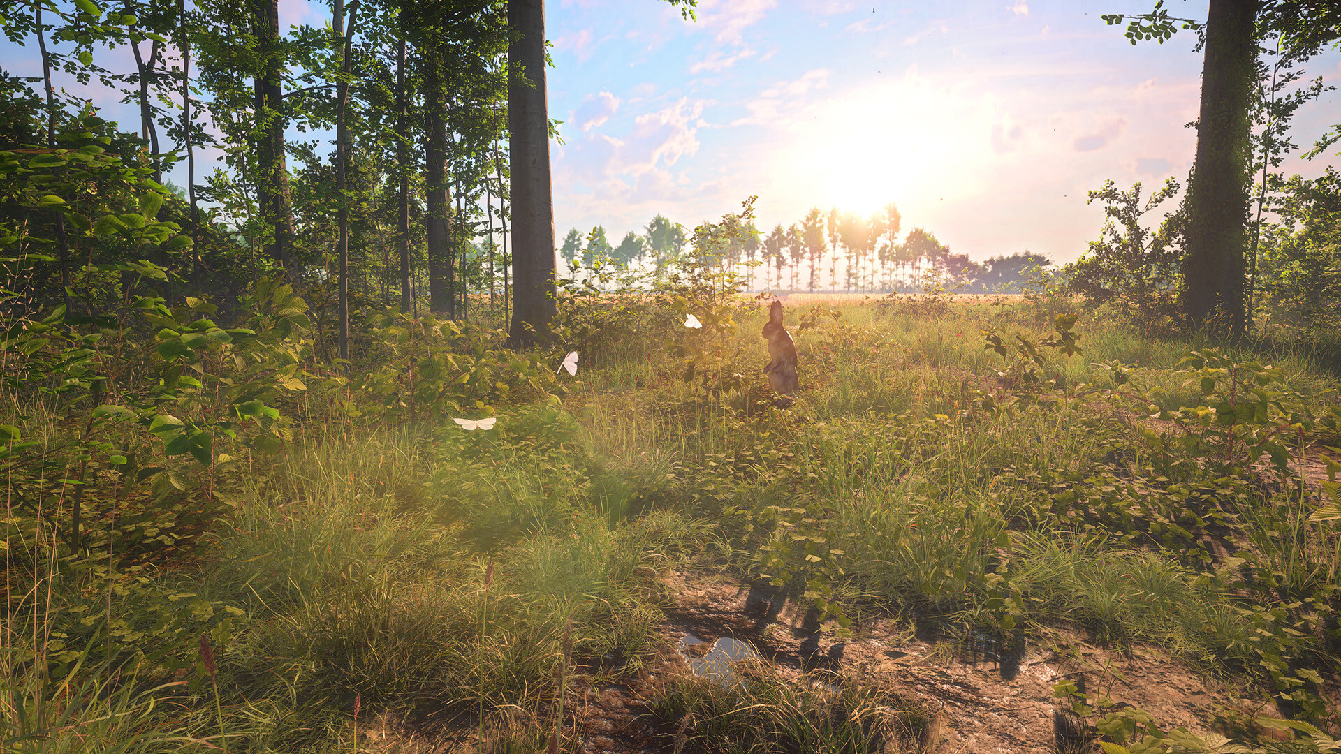 HIKE: Beyond the Trails screenshot 6