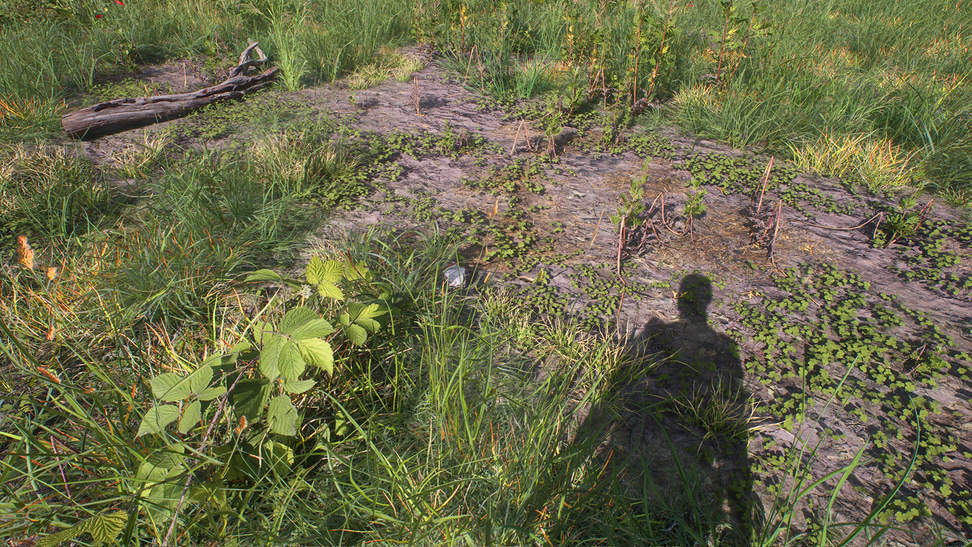 Virtual Nature screenshot #9