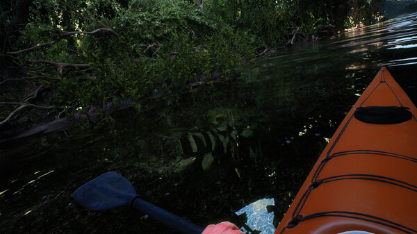 Virtual Nature screenshot 5