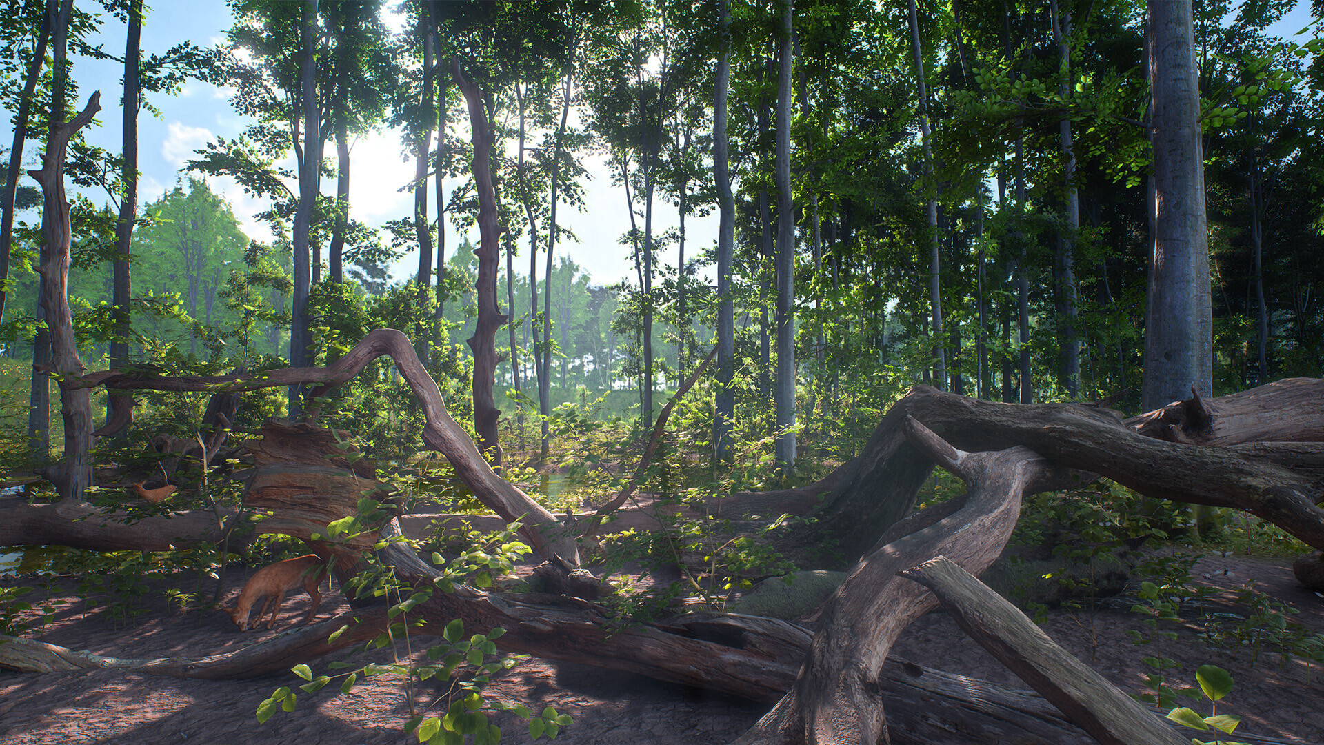 HIKE: Beyond the Trails screenshot #4