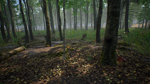 Скриншот из Mushroom Hunter Simulator Demo
