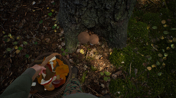 Скриншот из Mushroom Hunter Simulator Demo