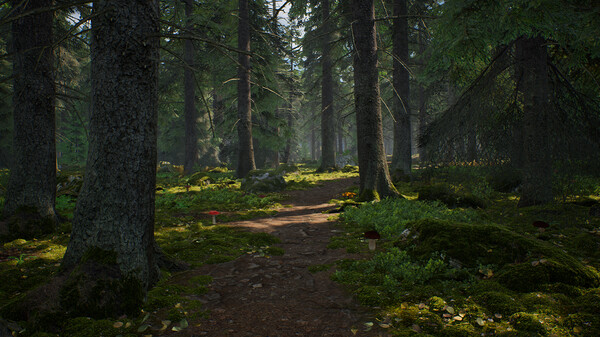 Скриншот из Mushroom Hunter Simulator Demo