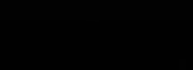 Malón video 4