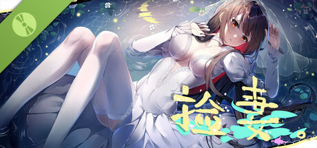 捡妻 Demo cover art