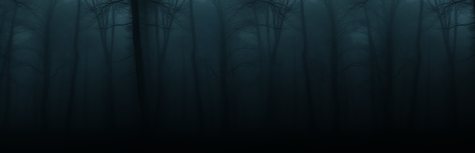 Out of the Fog