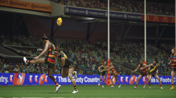 AFL 26