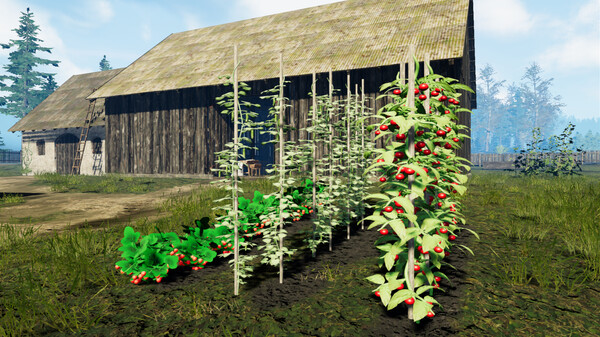 Farmer's Life: Spread the Bread DLC