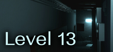 Level 13 cover