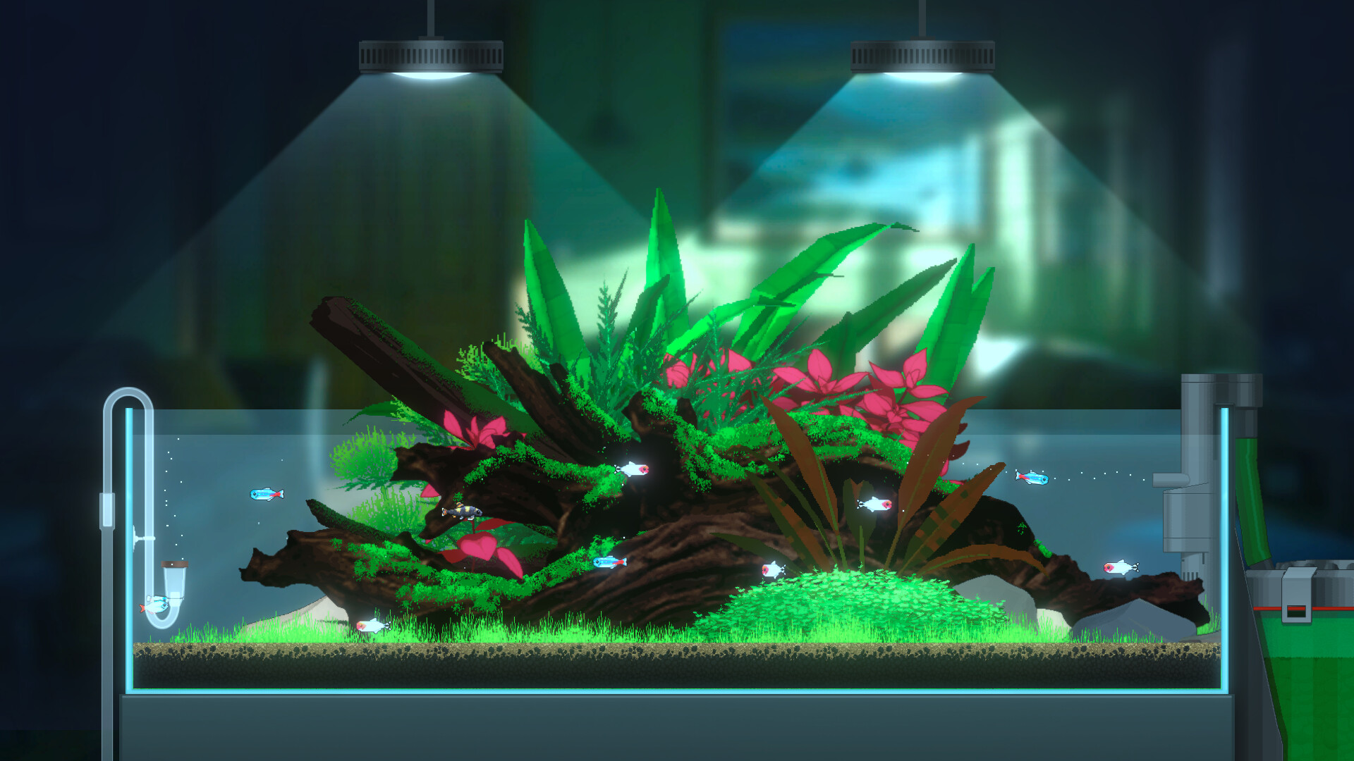 Joyquarium screenshot #12