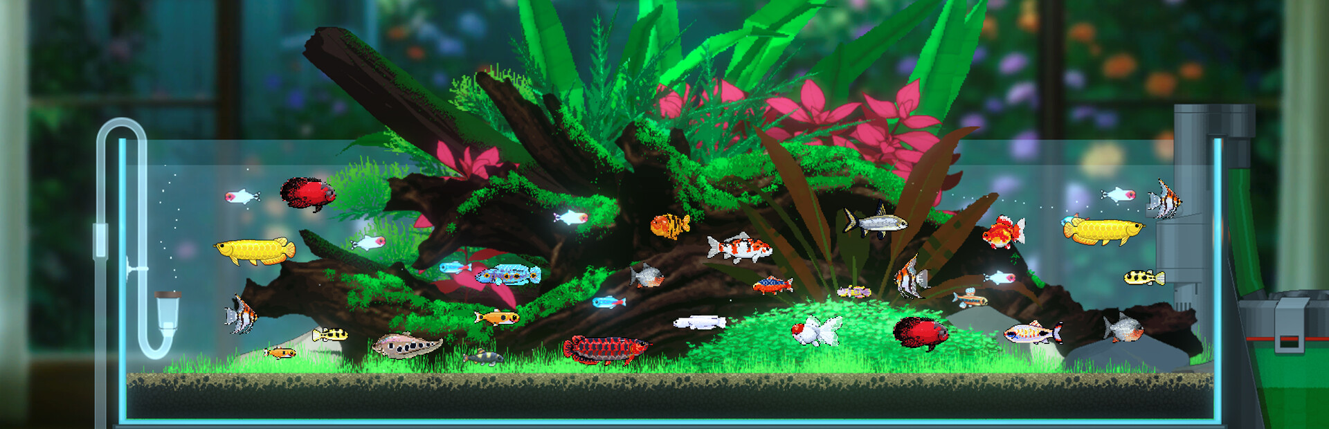 Joyquarium