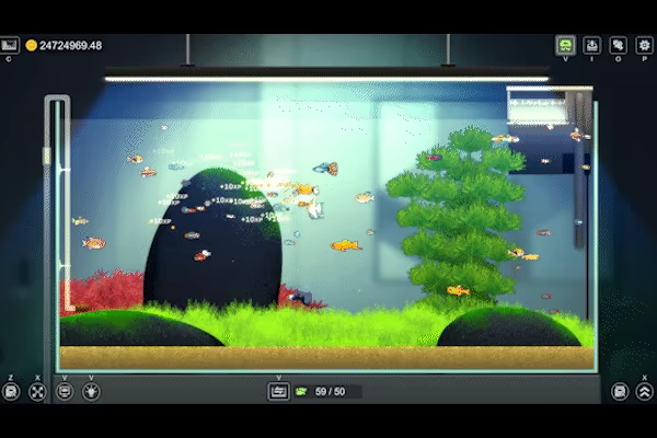 Joyquarium video 4