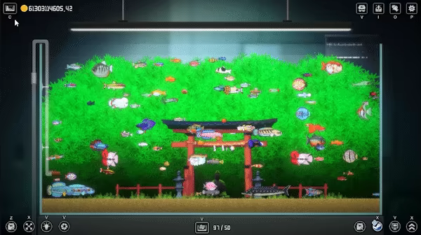 Joyquarium video 8