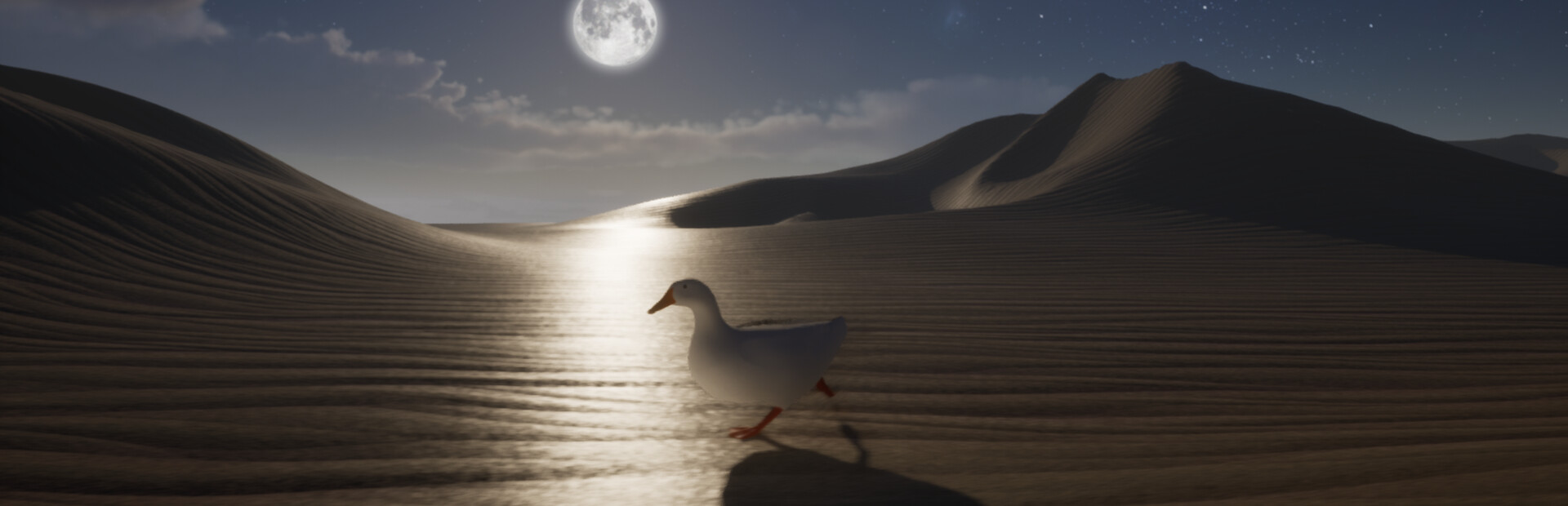Ducky: The Curious
