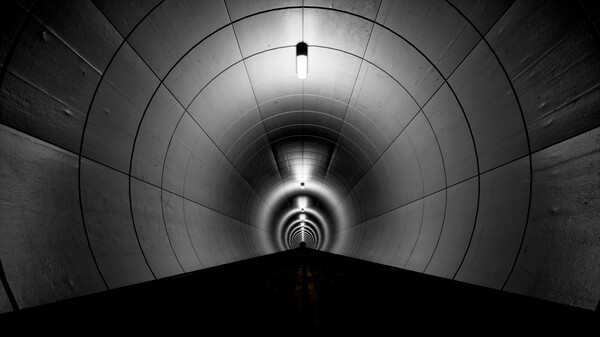 Parasite Tunnel game for Linux 1