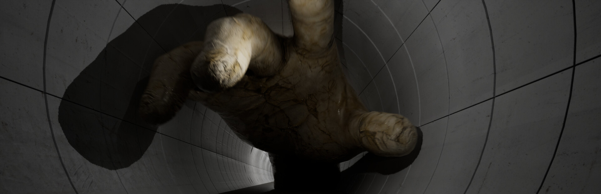 Parasite Tunnel