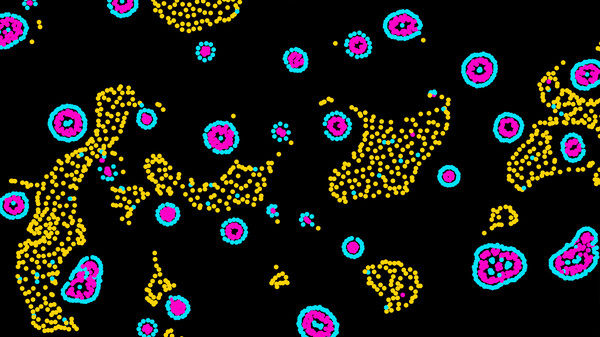 Screenshot z ælbum Screenshot z ælbum