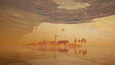 Screenshot #1