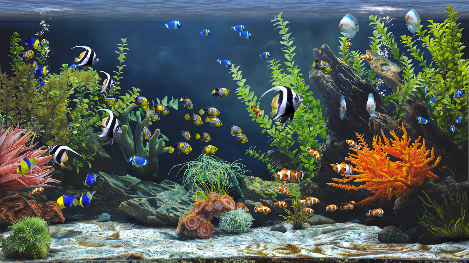 Zen Aquarium screenshot #3