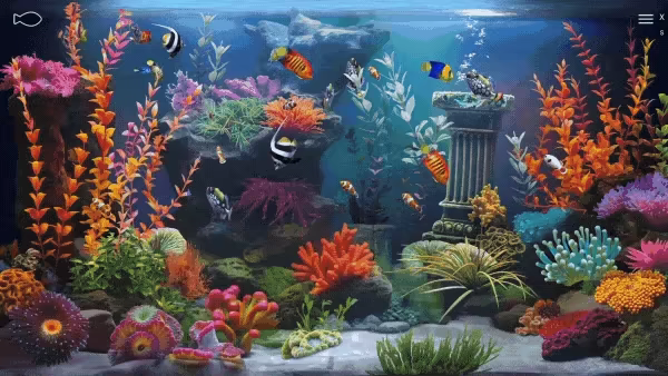 Zen Aquarium video 3