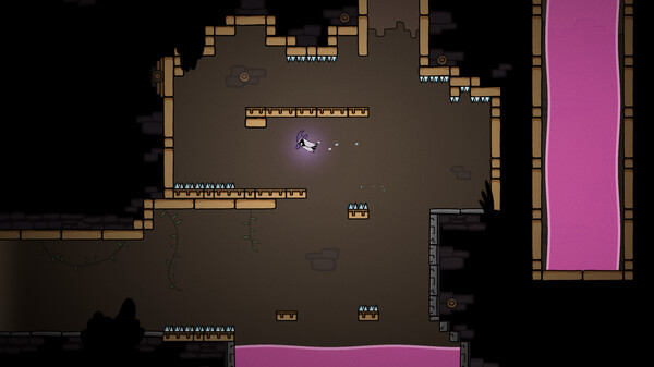 The Pogo Witch screenshot 5