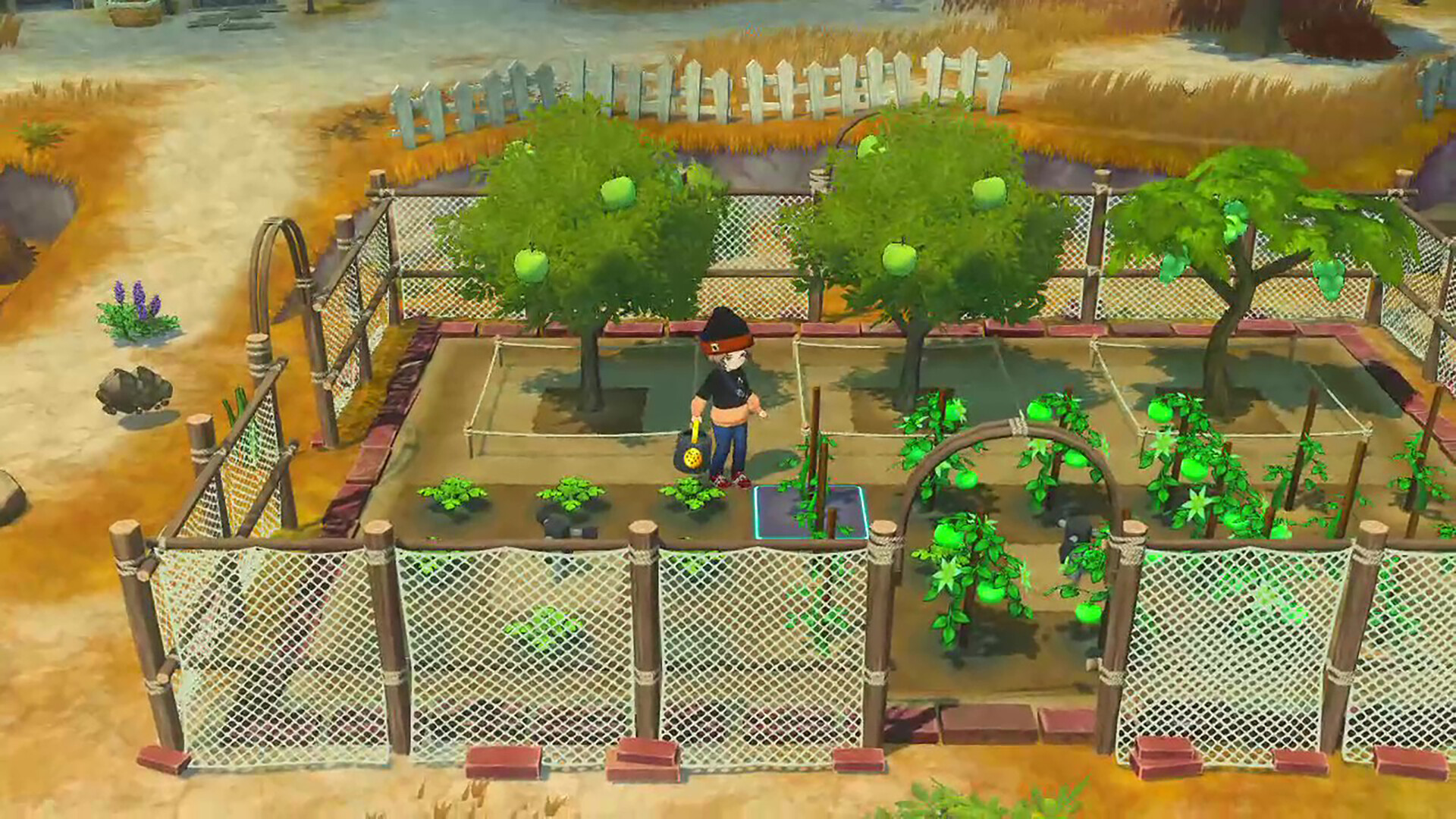 STORY OF SEASONS: Grand Bazaar - Pine Hoverfly Set screenshot 3