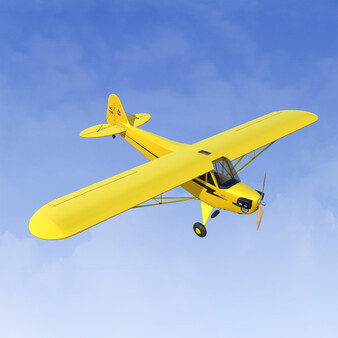 RealFlight Evolution – Hangar 9 J-3 Cub 10cc