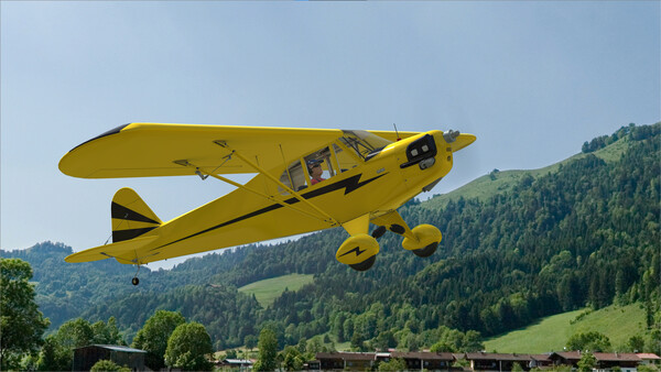 RealFlight Evolution – Hangar 9 Clipped-Wing Cub 10cc — скриншот 14