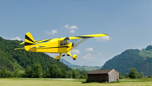 RealFlight Evolution – Hangar 9 Clipped-Wing Cub 10cc — скриншот 8