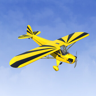 RealFlight Evolution – Hangar 9 Clipped-Wing Cub 10cc — скриншот 2