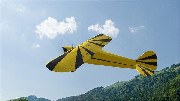 RealFlight Evolution – Hangar 9 Clipped-Wing Cub 10cc — скриншот 7