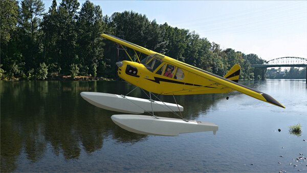 RealFlight Evolution – Hangar 9 Clipped-Wing Cub 10cc — скриншот 16