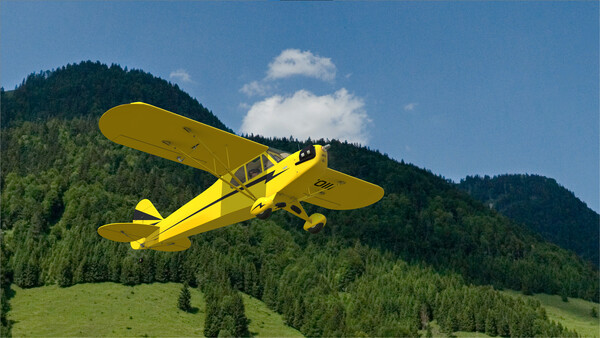 RealFlight Evolution – Hangar 9 Clipped-Wing Cub 10cc — скриншот 11