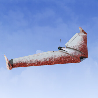 RealFlight Evolution – Zipper — скриншот 2