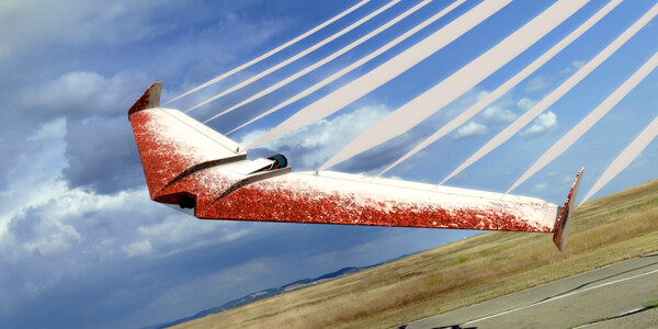 RealFlight Evolution – Zipper — скриншот 7