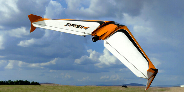 RealFlight Evolution – Zipper — скриншот 5