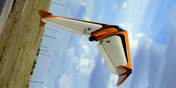 RealFlight Evolution – Zipper — скриншот 4