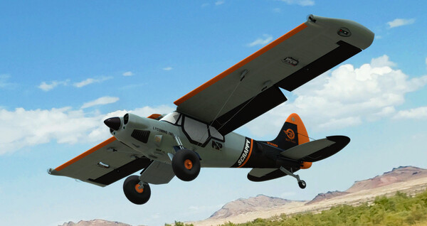 RealFlight Evolution – E-flite Micro Scrappy 800mm