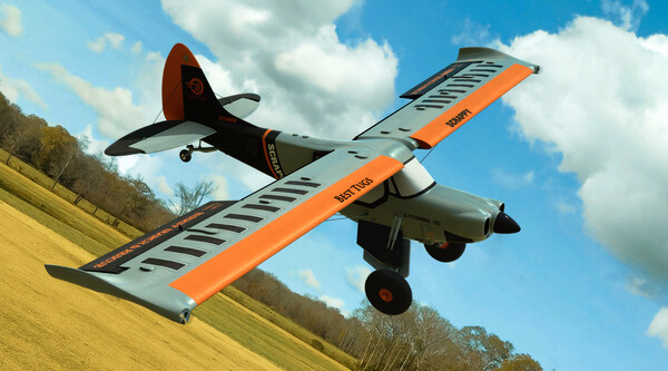 RealFlight Evolution – E-flite Micro Scrappy 800mm